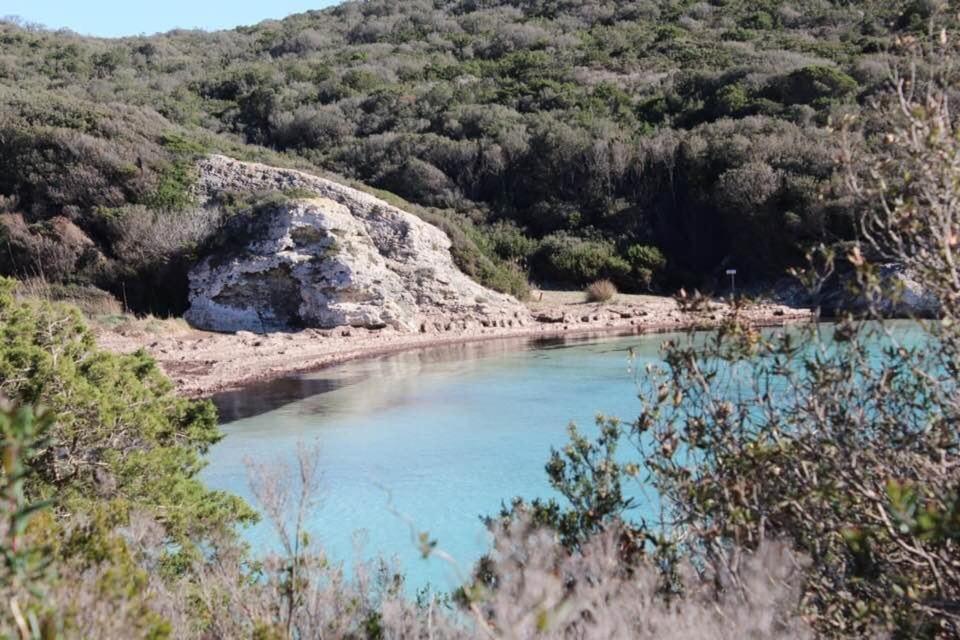 בוניפסיו Case Di A Cappana-Villa Vincent מראה חיצוני תמונה